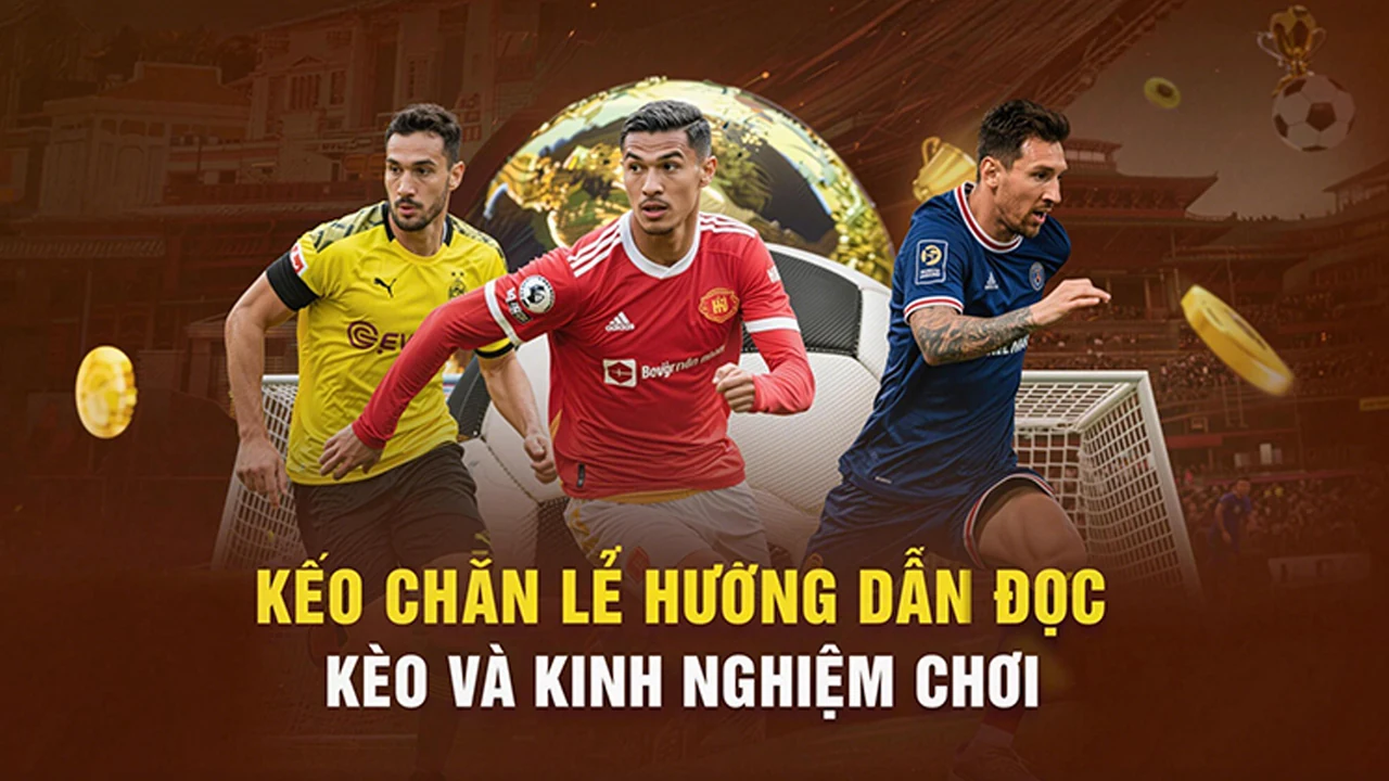 Thể thao: Hướng dẫn đối chiếu thông tin thể thao trên di động trên qua góc nhìn — XS88 — Góc nhìn thực hành dành cho người mới